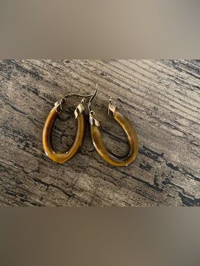 Affinity Tiger Eye Hoop Earrings with Gold Accents